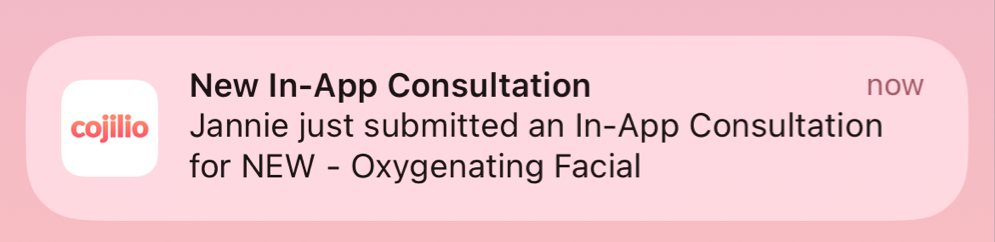 In_App_Consult_Screenshot_4.png
