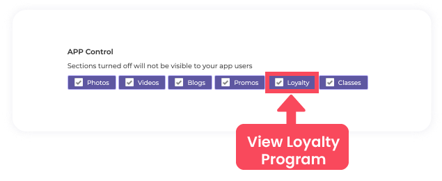 View_Loyalty_Program_Set_up_Company_Information.png